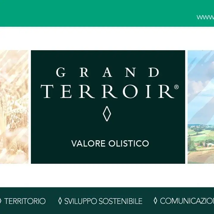 Grand Terroir: identità, territorio, sviluppo sostenibile. Ecco la nuova sezione targata Diemmecom