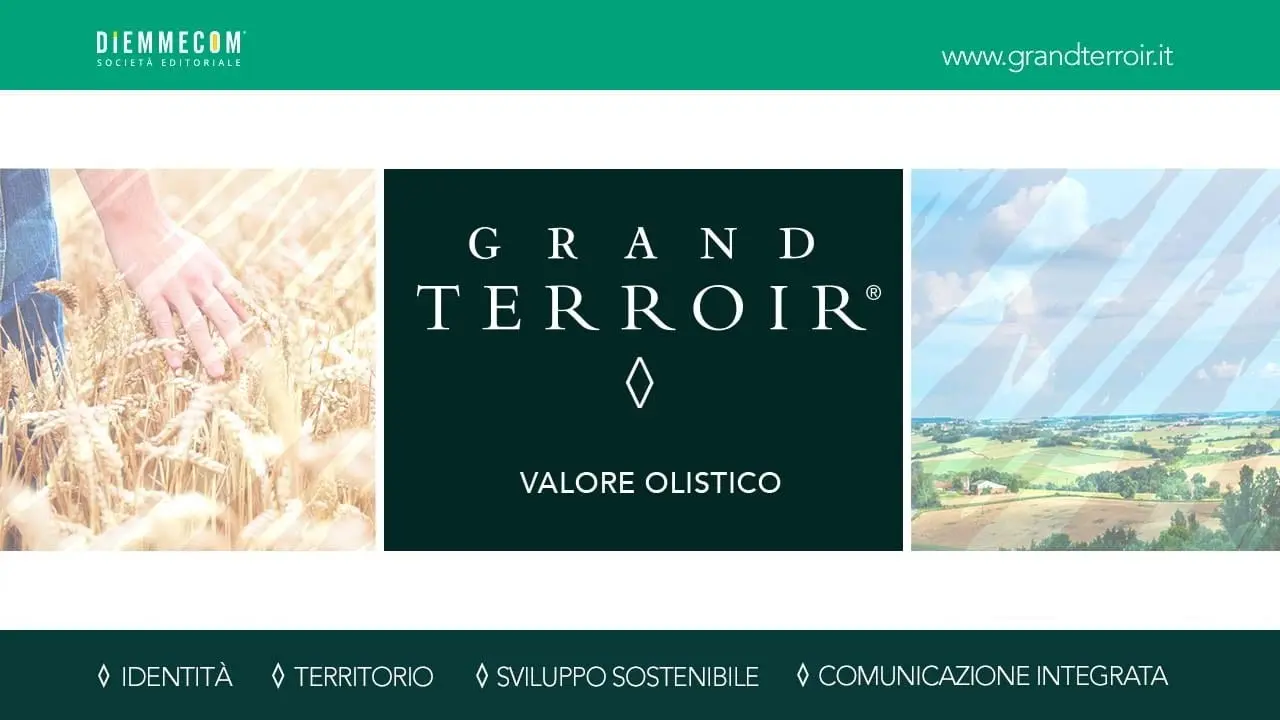 Grand Terroir: identità, territorio, sviluppo sostenibile. Ecco la nuova sezione targata Diemmecom