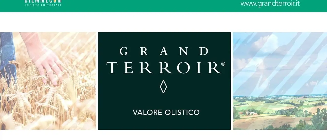 Grand Terroir: identità, territorio, sviluppo sostenibile. Ecco la nuova sezione targata Diemmecom