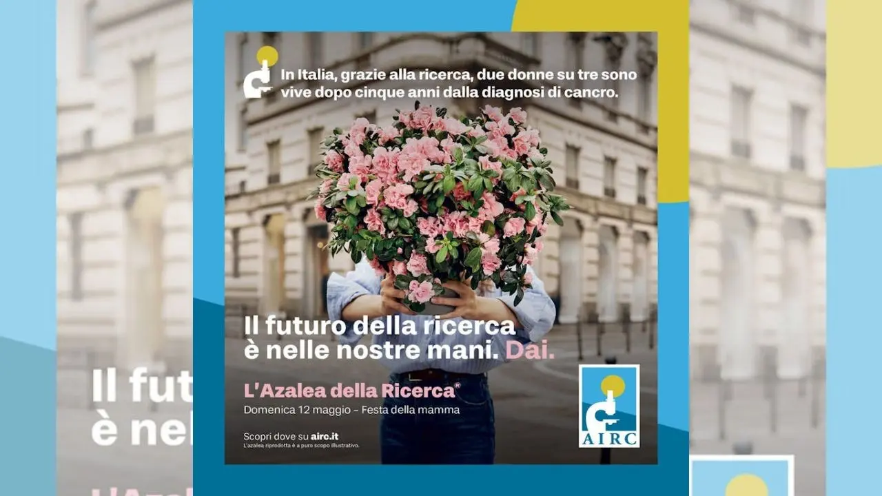 L’azalea della ricerca dell’Airc torna il 12 maggio in 3500 piazze italiane