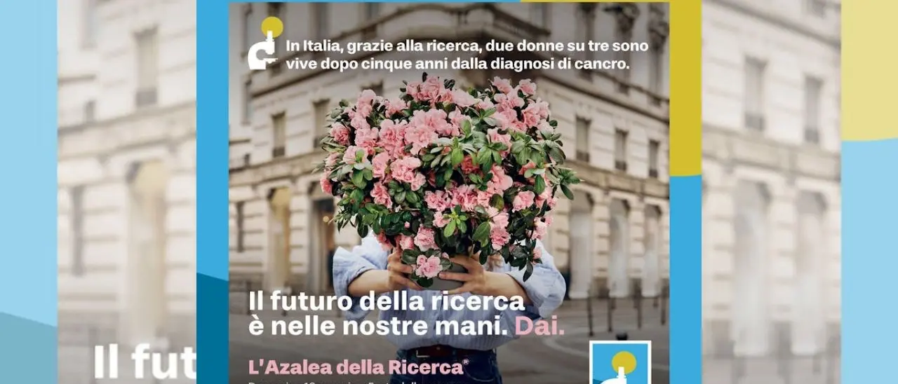 L’azalea della ricerca dell’Airc torna il 12 maggio in 3500 piazze italiane