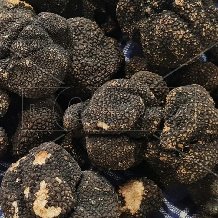 Profumo di tartufi nella Calabria che espone al Cibus di Parma: oggi ultimo giorno di fiera