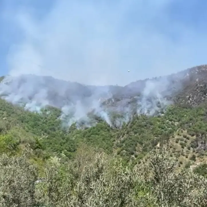 Appiccano fuoco per pulire il terreno e scoppia un incendio che devasta la Presila: in fumo l’equivalente di 65 campi di calcio