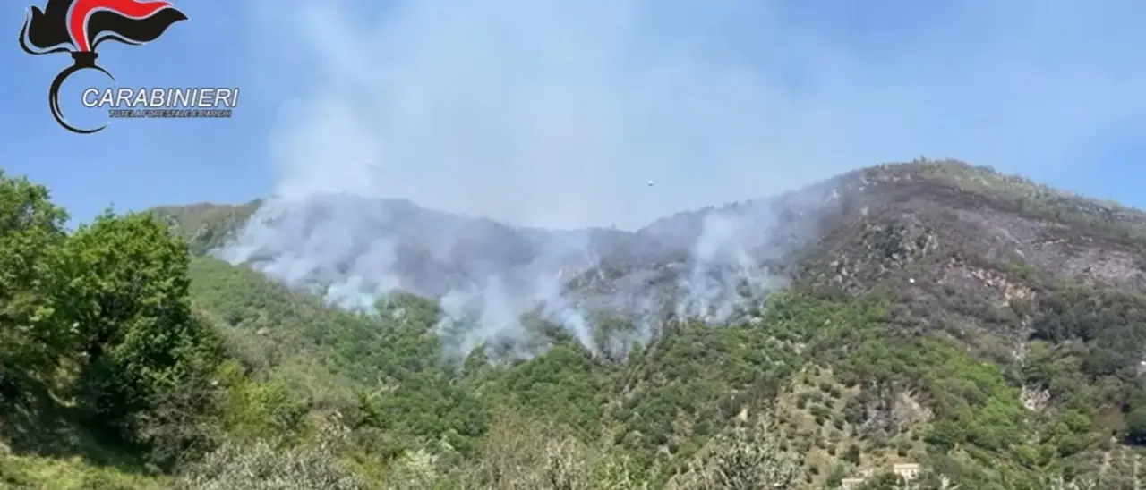 Appiccano fuoco per pulire il terreno e scoppia un incendio che devasta la Presila: in fumo l’equivalente di 65 campi di calcio