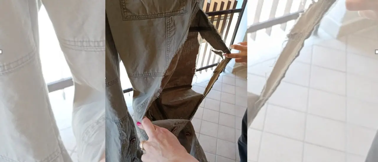 Corigliano Rossano, 17enne aggredita da un branco di cani mentre aspettava l’autobus per andare a scuola