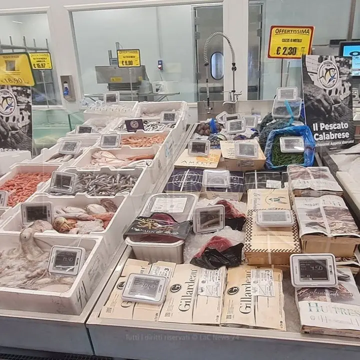 La Calabria ha bisogno di imprese coraggiose, di lavoro e di numeri: a Gizzeria l’esempio positivo del CarryGo