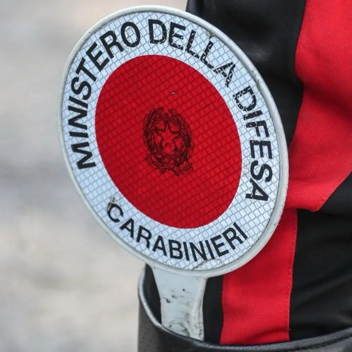Nascondeva una pistola con matricola abrasa e munizioni: arrestato un 49enne nel Cosentino
