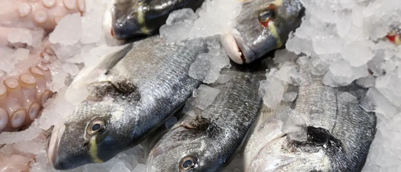 A Palmi insetti nei sacchetti del pesce: sequestrati 15 kg di prodotti ittici e sanzioni per 6mila euro a venditori ambulanti