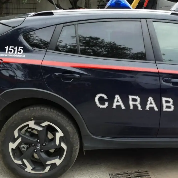 Cessaniti, tenta di uccidere la convivente con una motosega: salvata in extremis dai carabinieri