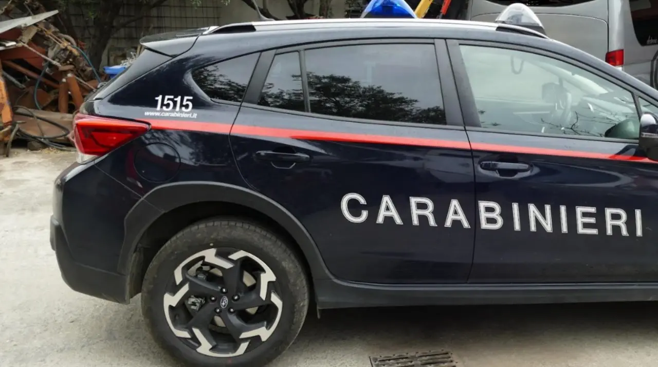 Cessaniti, tenta di uccidere la convivente con una motosega: salvata in extremis dai carabinieri