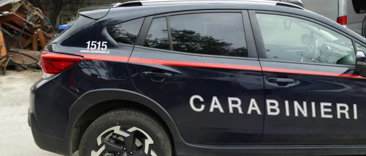 Cessaniti, tenta di uccidere la convivente con una motosega: salvata in extremis dai carabinieri