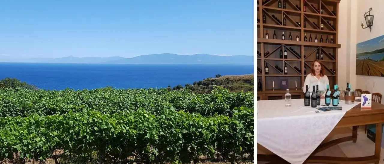 Due vini vibonesi medaglia d’oro al Women’s International Trophy, successo per le Cantine Artese