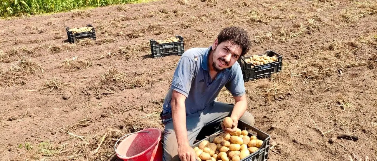 Vincenzo Gullo, il giovane contadino che ha realizzato il suo sogno: «L’amore per la mia terra cresce ogni giorno»