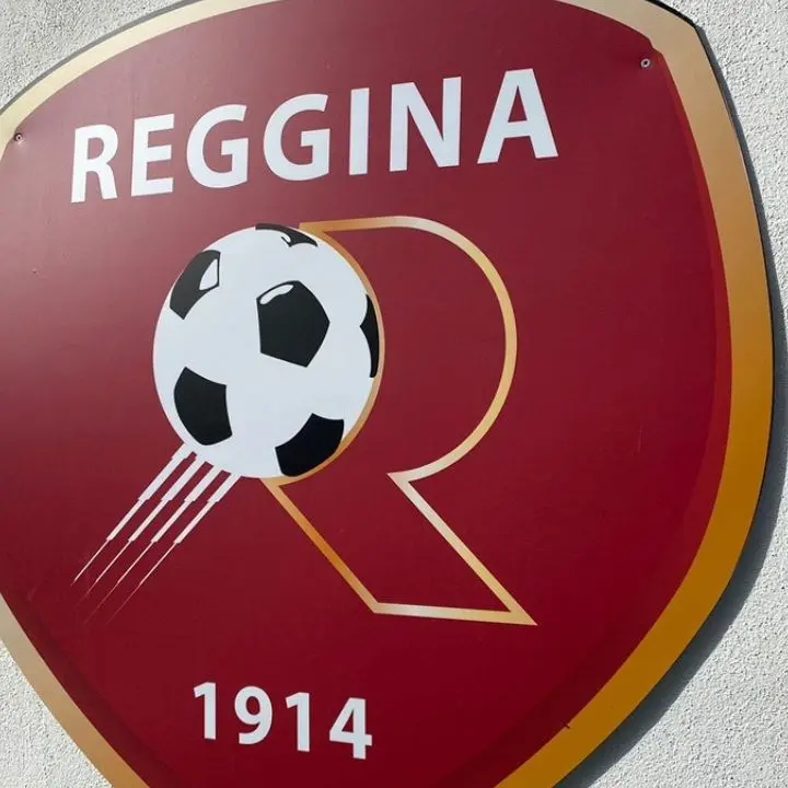 La Reggina rinasce: asta per riportare a casa nome e simbolo durata pochi minuti