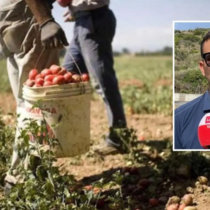 Agricoltura, Tavernise (M5S): «Stop al lavoro irregolare e allo sfruttamento»