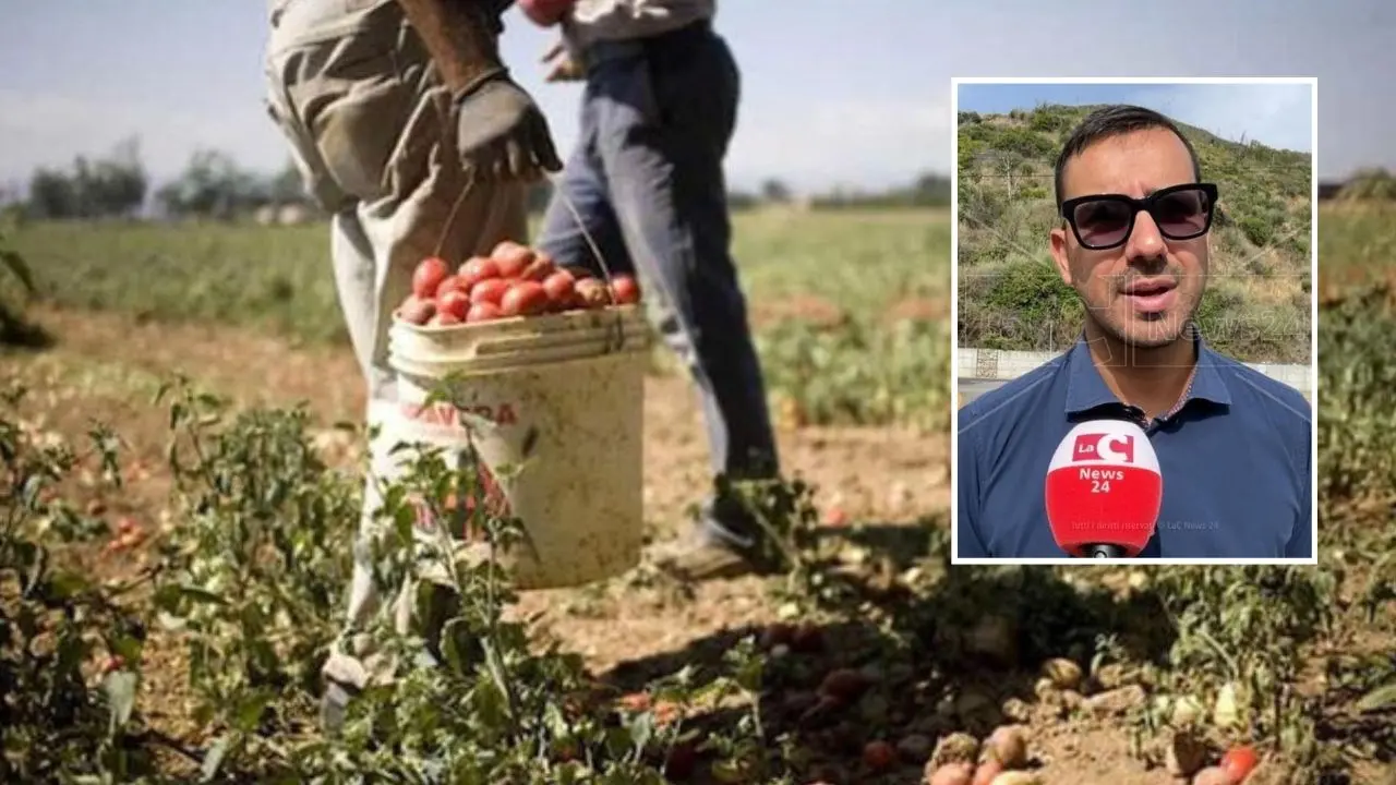 Agricoltura, Tavernise (M5S): «Stop al lavoro irregolare e allo sfruttamento»