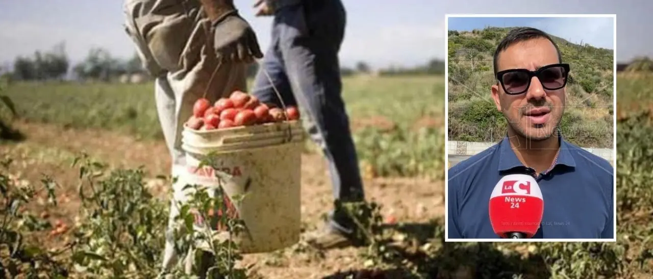 Agricoltura, Tavernise (M5S): «Stop al lavoro irregolare e allo sfruttamento»