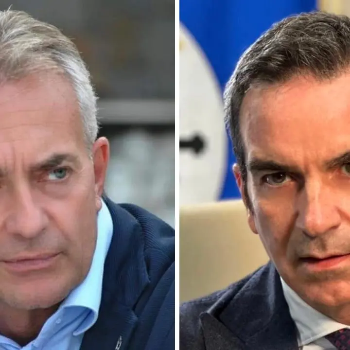 Europee, Occhiuto bacchetta Gallo per lo scarso impegno: la disfida di Forza Italia nella chat di partito
