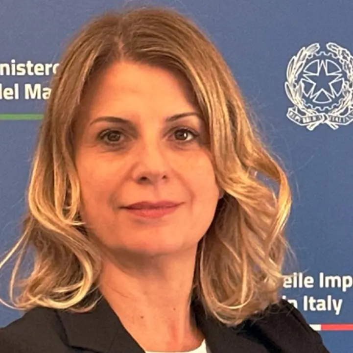 Il sottosegretario al Ministero delle Imprese Fausta Bergamotto incontra le aziende calabresi