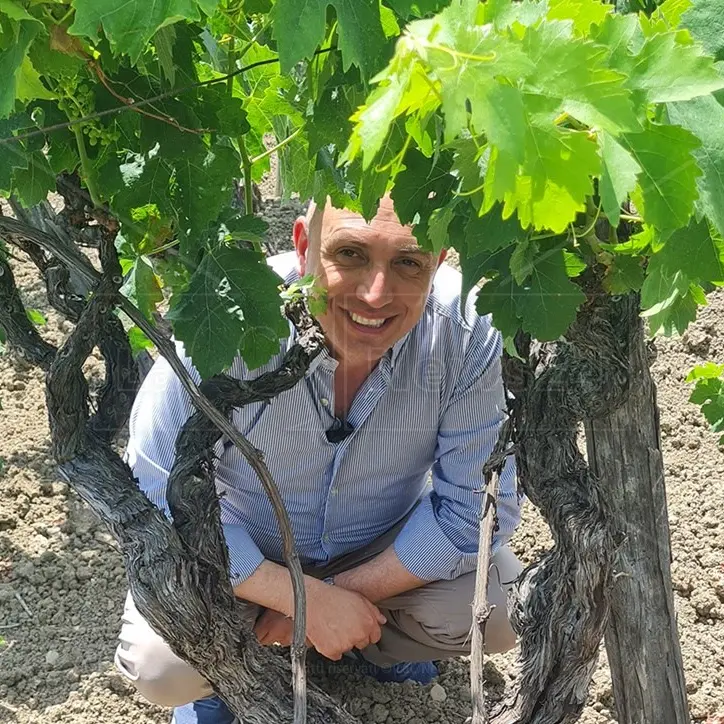 I vini di grande qualità nascono in vigna. Con Pasquale Iuzzolini a passeggio tra i vigneti del Cirotano