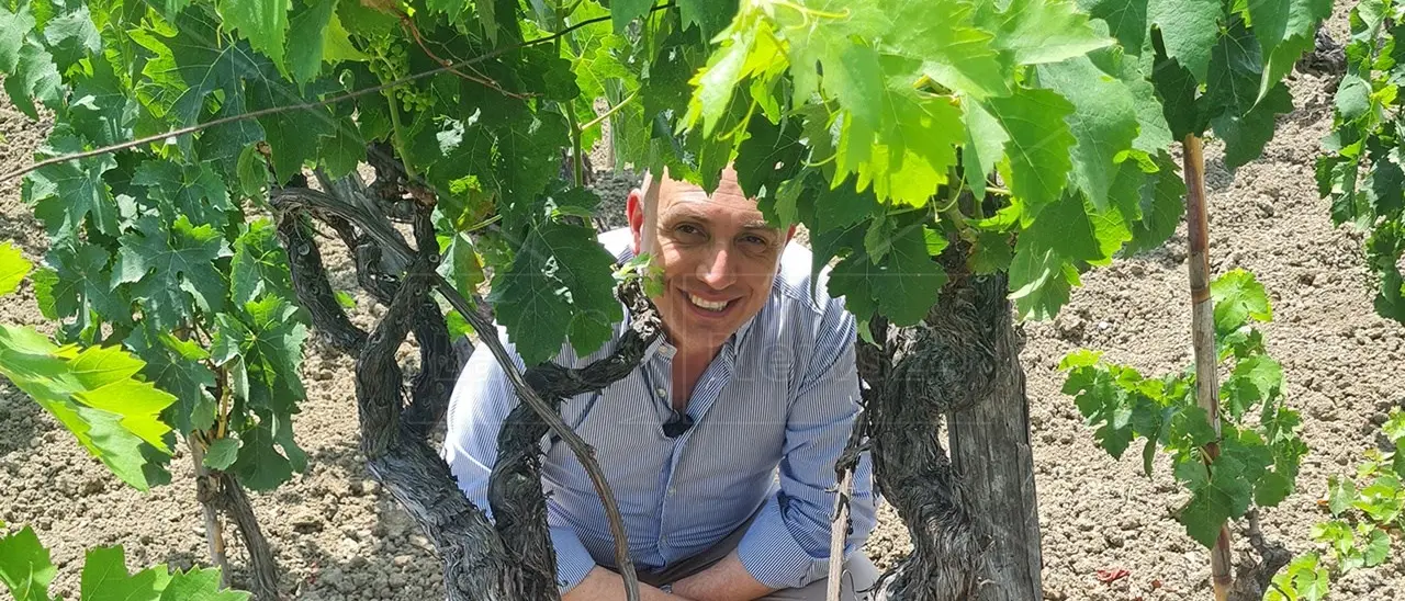 I vini di grande qualità nascono in vigna. Con Pasquale Iuzzolini a passeggio tra i vigneti del Cirotano
