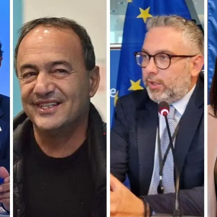 Europee, la carica dei calabresi: eletti Princi (Fi), Nesci (Fdi), Lucano (Avs) e Tridico (M5s)