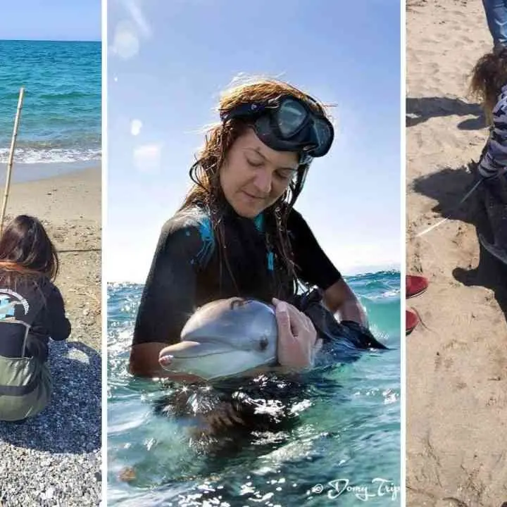 Gli angeli del mare di Montepaone: un centro recupero per gli animali in difficoltà di tutta la Calabria