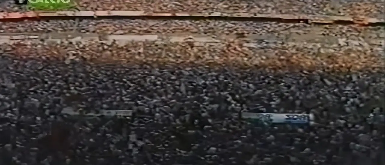 Reggina, venticinque anni fa l’esodo del popolo amaranto... alla conquista della Serie A