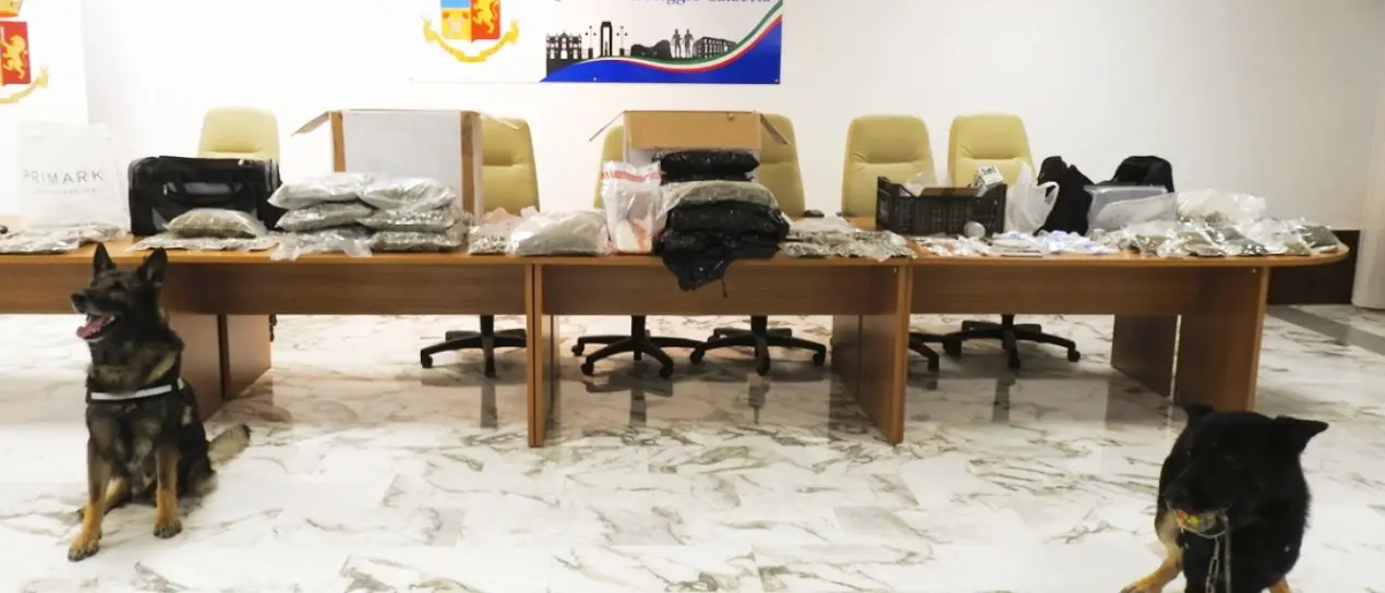 Un laboratorio di droga a Reggio Calabria, arrestato 28enne: in un casolare trovati 20 chili di marijuana e cocaina