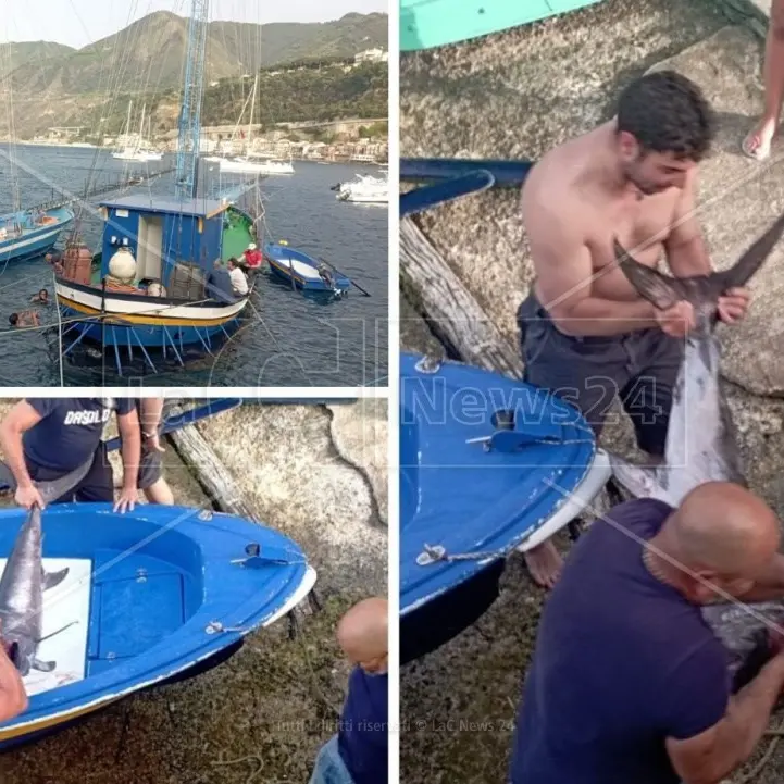 La caccia al pesce spada: a Scilla una tradizione millenaria raccontata da uno degli ultimi pescatori