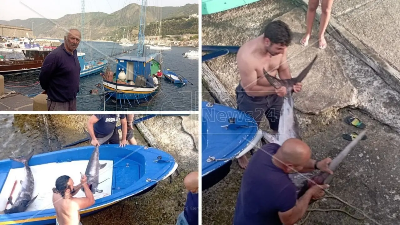 La caccia al pesce spada: a Scilla una tradizione millenaria raccontata da uno degli ultimi pescatori