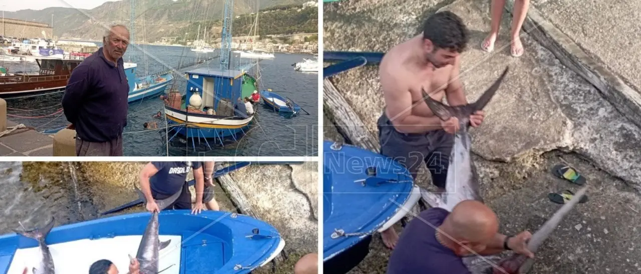 La caccia al pesce spada: a Scilla una tradizione millenaria raccontata da uno degli ultimi pescatori