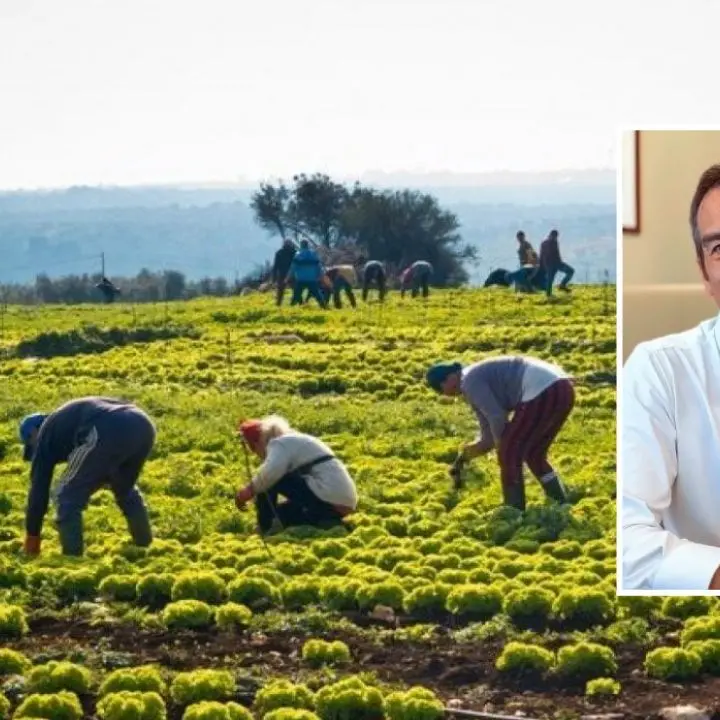Caldo in Calabria, Occhiuto vieta il lavoro nei campi e nei cantieri nelle ore più a rischio