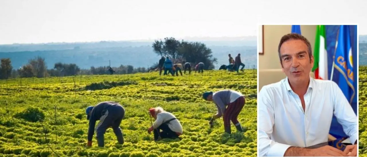 Caldo in Calabria, Occhiuto vieta il lavoro nei campi e nei cantieri nelle ore più a rischio