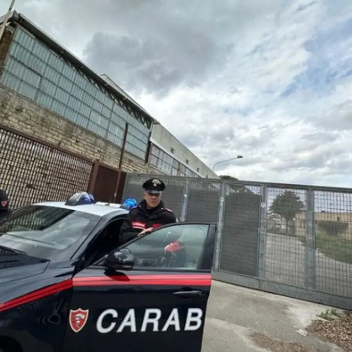 Fa manovra con l’auto e uccide la figlia di 7 anni: dramma di una mamma nel Napoletano
