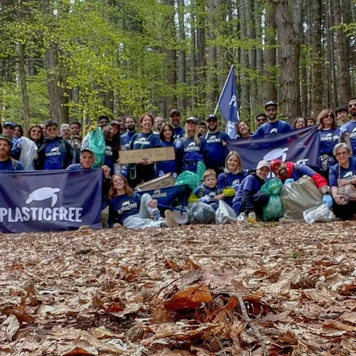 Giornata nazionale Plastic Free, il bosco Terreni Rossi di Gambarie d’Aspromonte torna a respirare: raccolti 50 sacchi di rifiuti