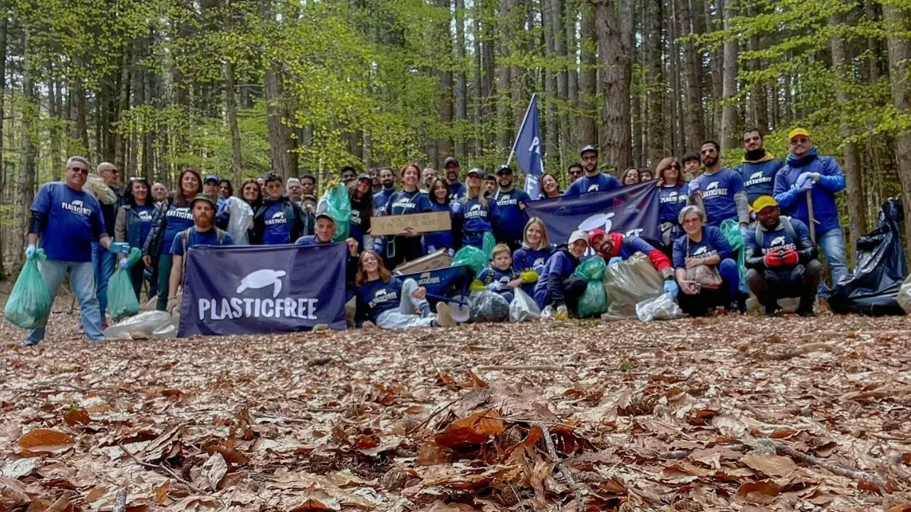 Giornata nazionale Plastic Free, il bosco Terreni Rossi di Gambarie d’Aspromonte torna a respirare: raccolti 50 sacchi di rifiuti