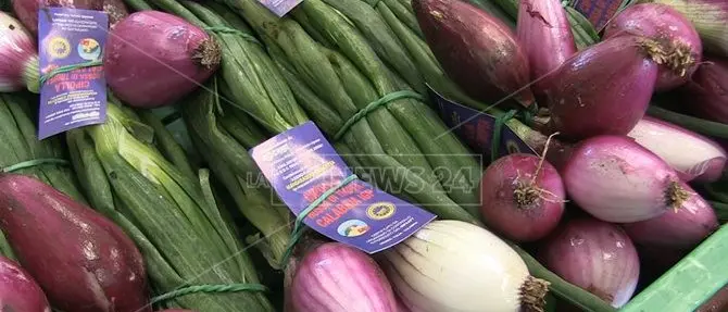 Cipolla di Tropea, la risposta del Consorzio di bonifica dopo la protesta dei produttori