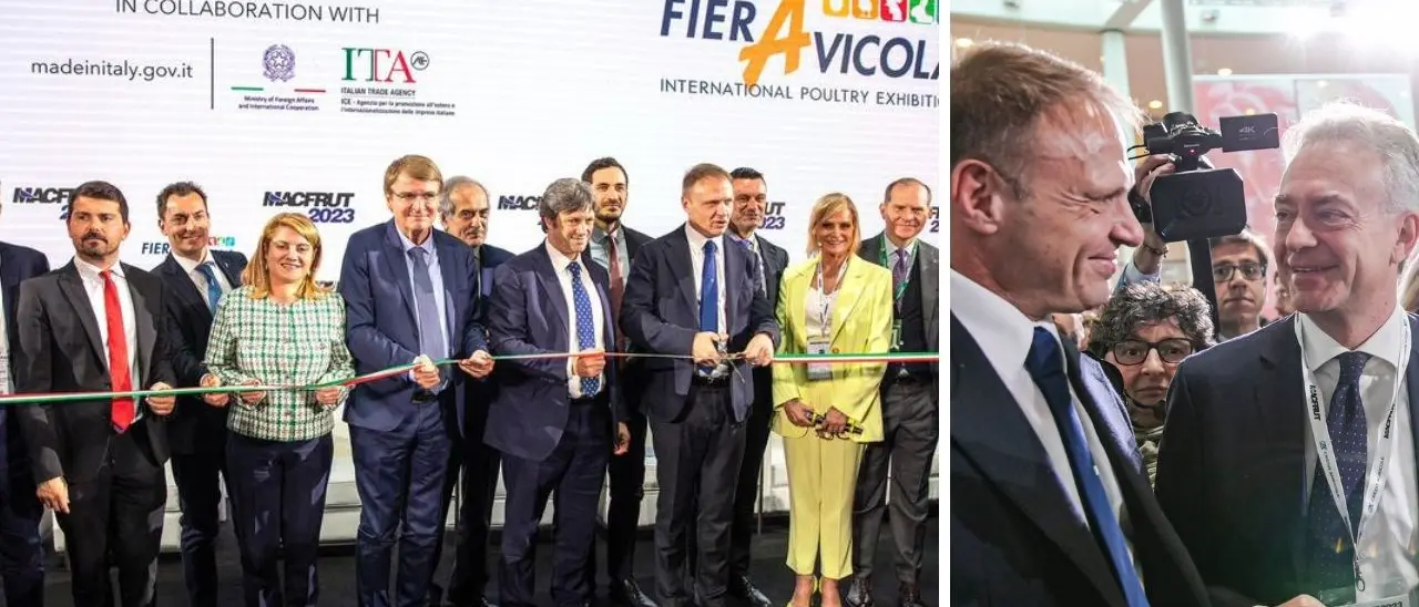 Regione Calabria partner del Macfrut di Rimini, Gallo: «Una vetrina prestigiosa per definire strategie di crescita»