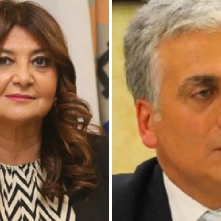 Crollo ponte a Longobucco, Straface e Graziano: «Prioritario mettere in sicurezza e completare la strada Sila-Mare»