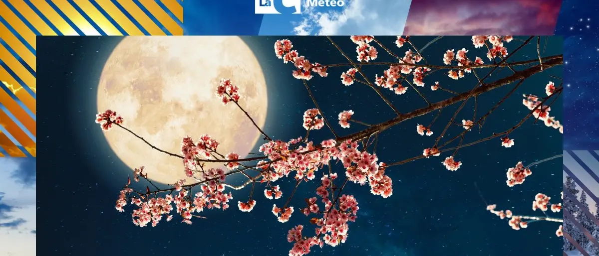 Stanotte tutti con il naso all’insù a guardare l’eclissi della Luna dei Fiori