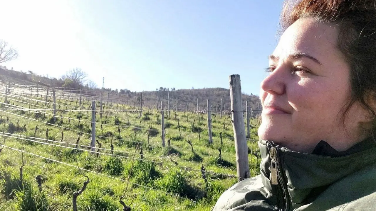 Sangiovese di Calabria, il vitigno più diffuso nel Centro Italia ha le sue radici sul Pollino: la “viticoltura eroica” di Rossella