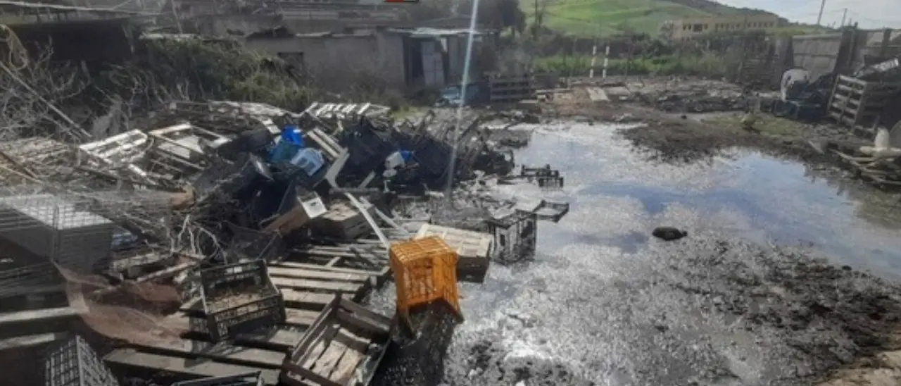 Simeri Crichi, mancata depurazione delle acque reflue: sequestrato un allevamento