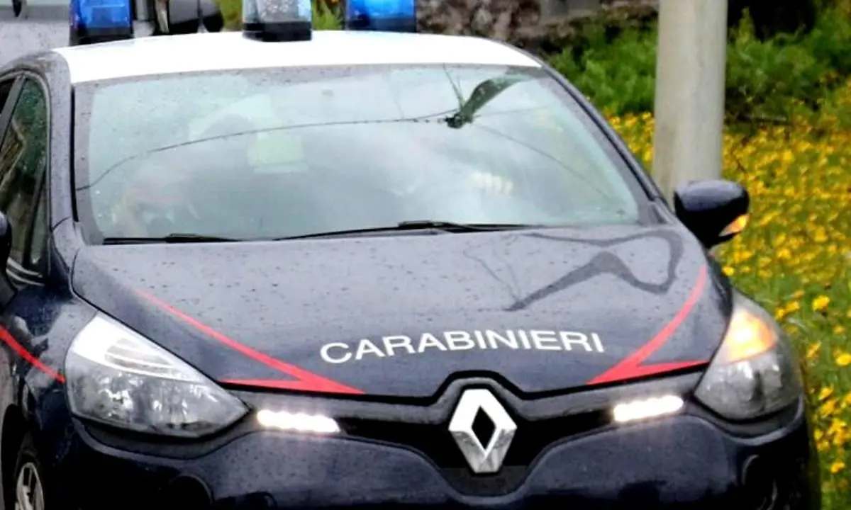 Arresti nel Vibonese, tutti i nomi dei 167 indagati nella maxi operazione Maestrale-Carthago