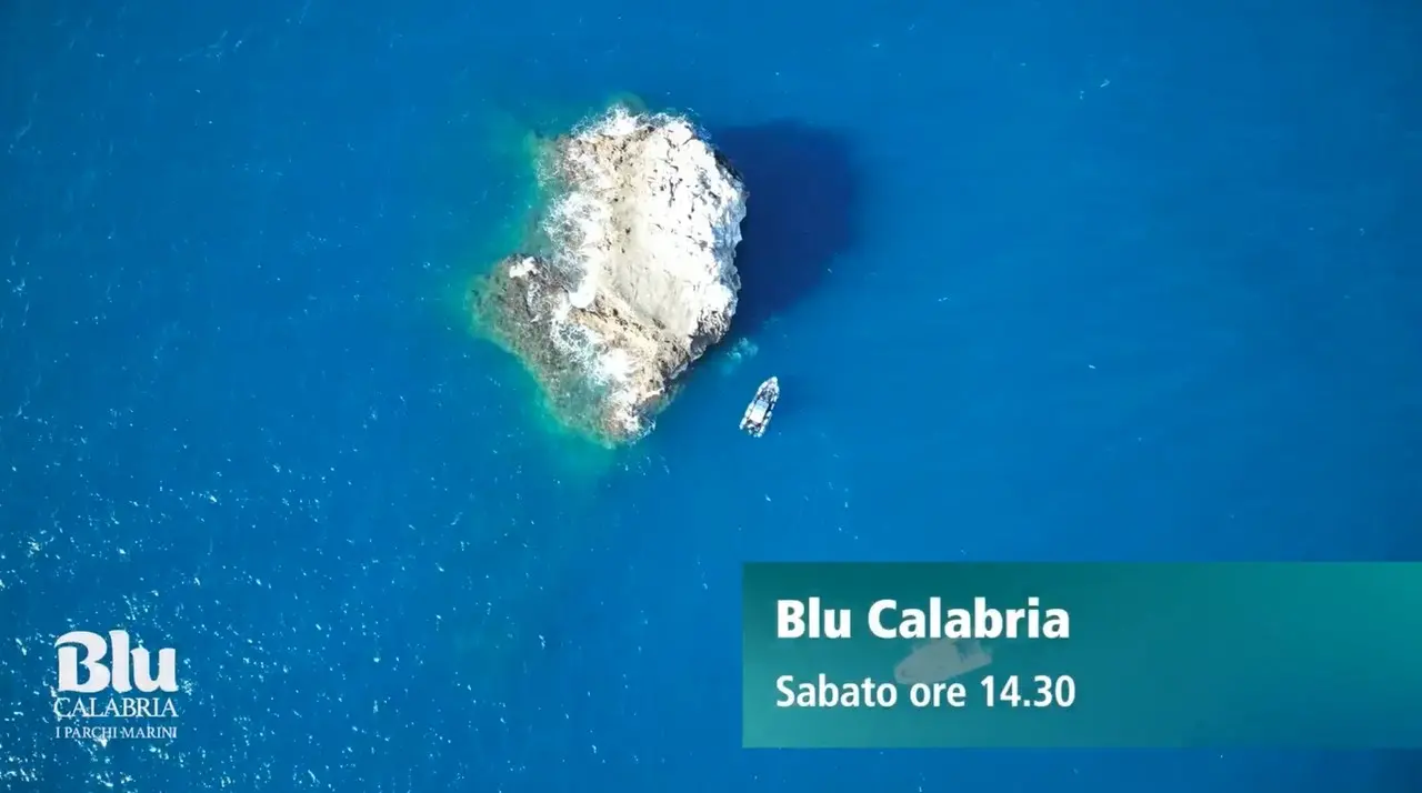 Blu Calabria alla scoperta del parco Scogli di Isca, eccezionale spettacolo di biodiversità: la puntata