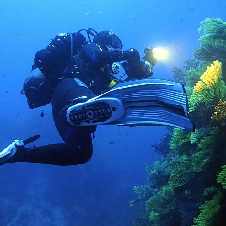 Il biologo Raffaele Greco è il nuovo commissario straordinario dell’ente Parchi marini della Calabria