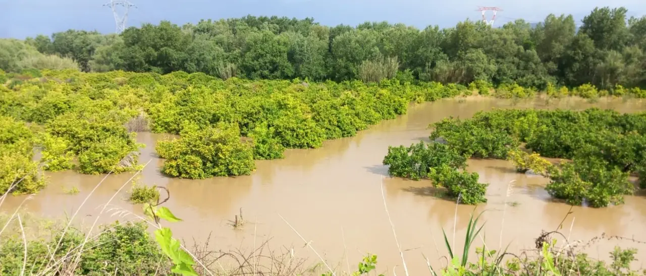 A Spezzano albanese il livello del torrente Coscile inizia a far paura. Sul posto gli uomini della Prociv