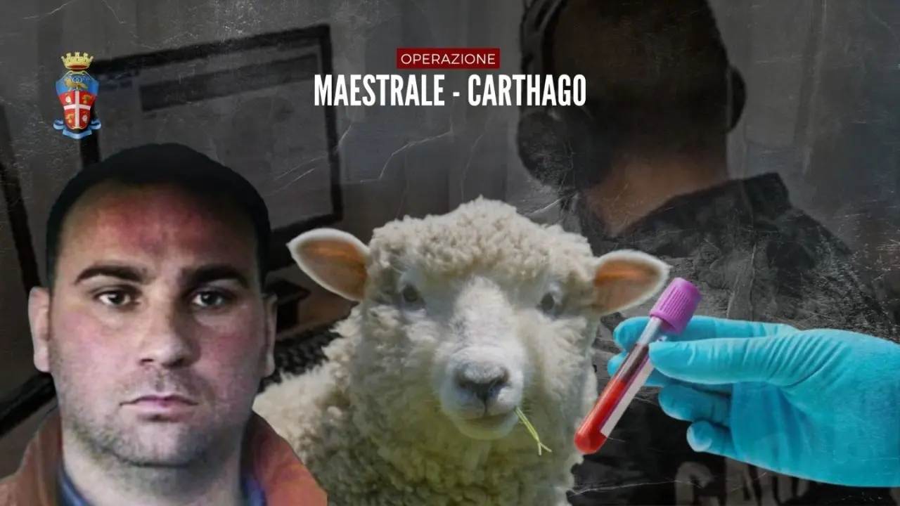 Le ingegnose truffe di ’ndrangheta: dalle pecore senza brucellosi ai marittimi malati immaginari