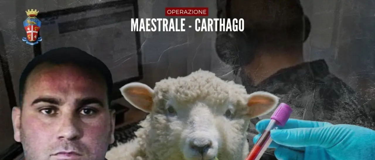 Le ingegnose truffe di ’ndrangheta: dalle pecore senza brucellosi ai marittimi malati immaginari