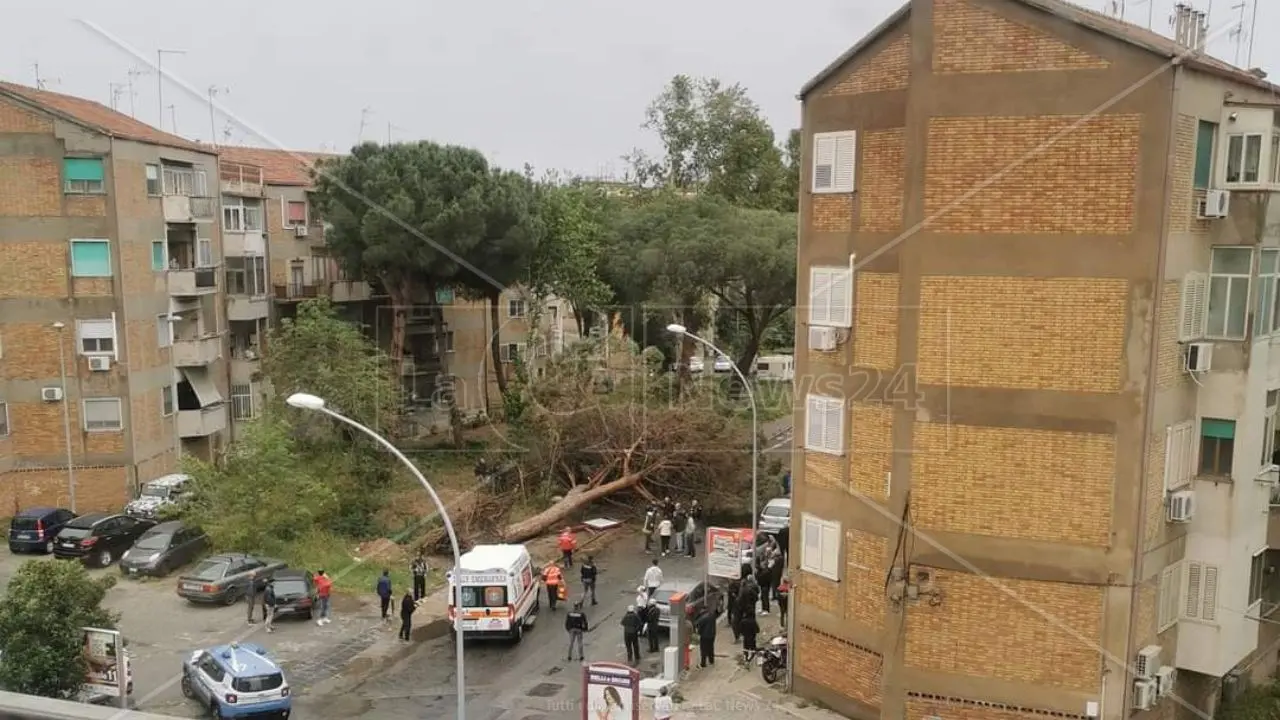 Maltempo a Reggio Calabria, aperta un’inchiesta sulla morte dell’uomo schiacciato da un albero